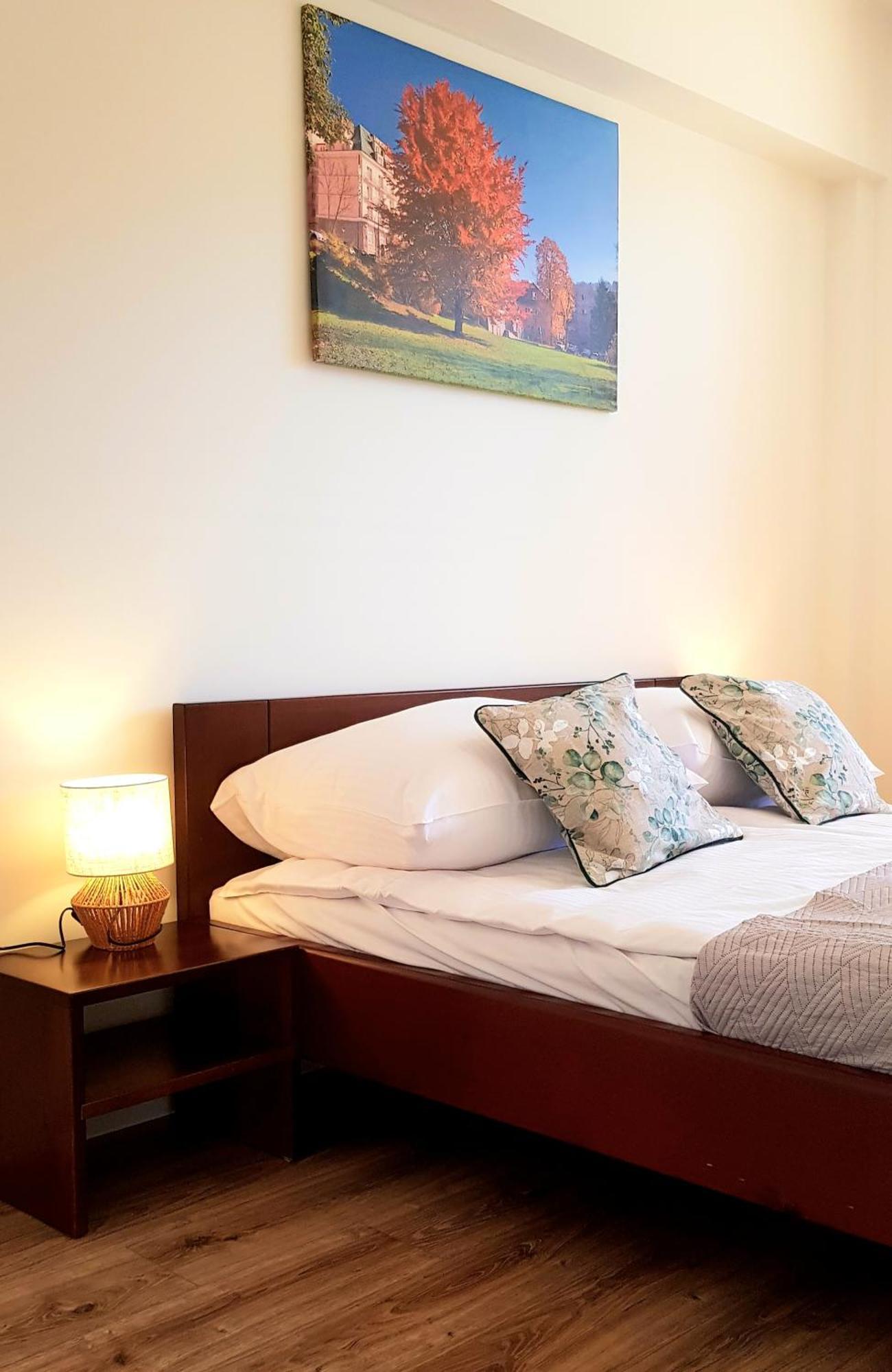 Apartamenty City Center - Zdrojowe Krynica Zdroj Luaran gambar